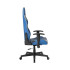 Игровое компьютерное кресло DX Racer Prince GC/LPF132LTCLTA/BW